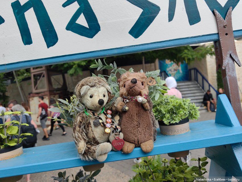 Fashion Dolls 534 — Туризм и путешествия: фотоотчеты из поездок (фото 3)