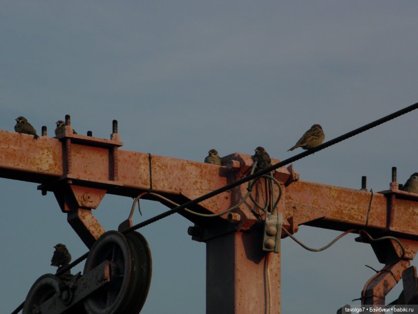 Лугнасад — Фэшн (фото 4)