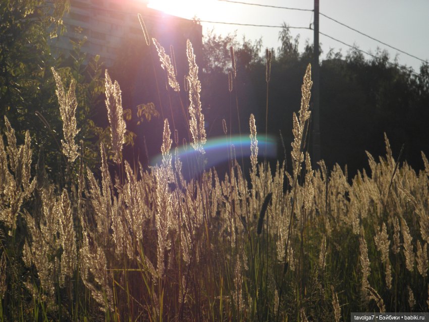 Лугнасад — Фэшн