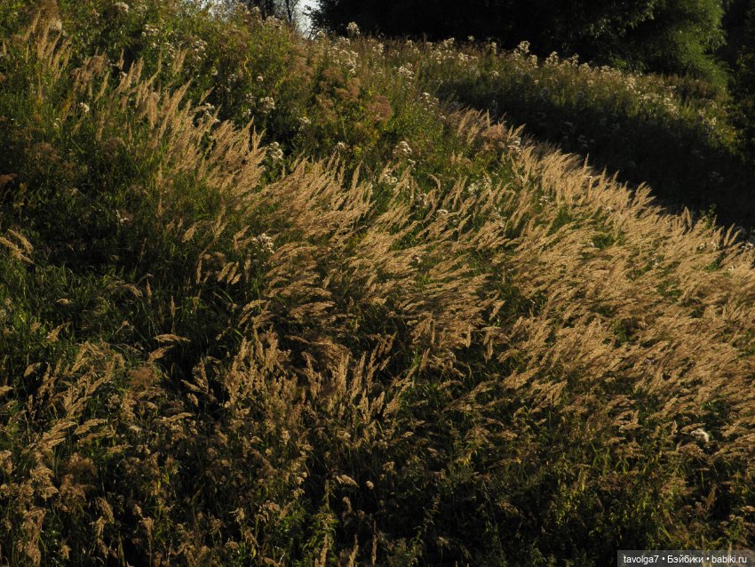 Лугнасад — Фэшн