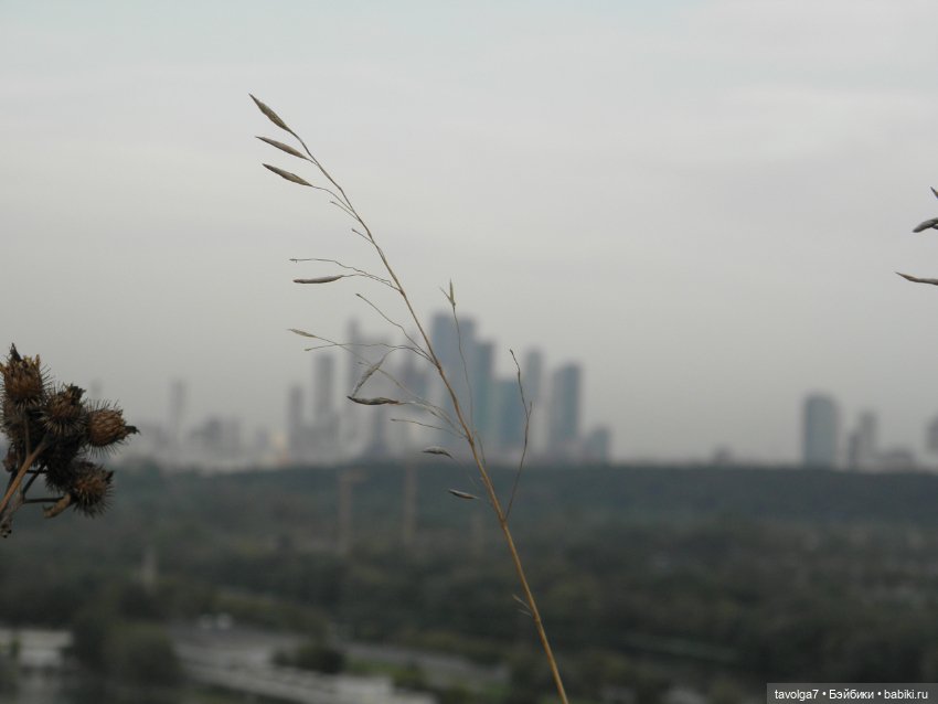 Лугнасад — Фэшн (фото 9)