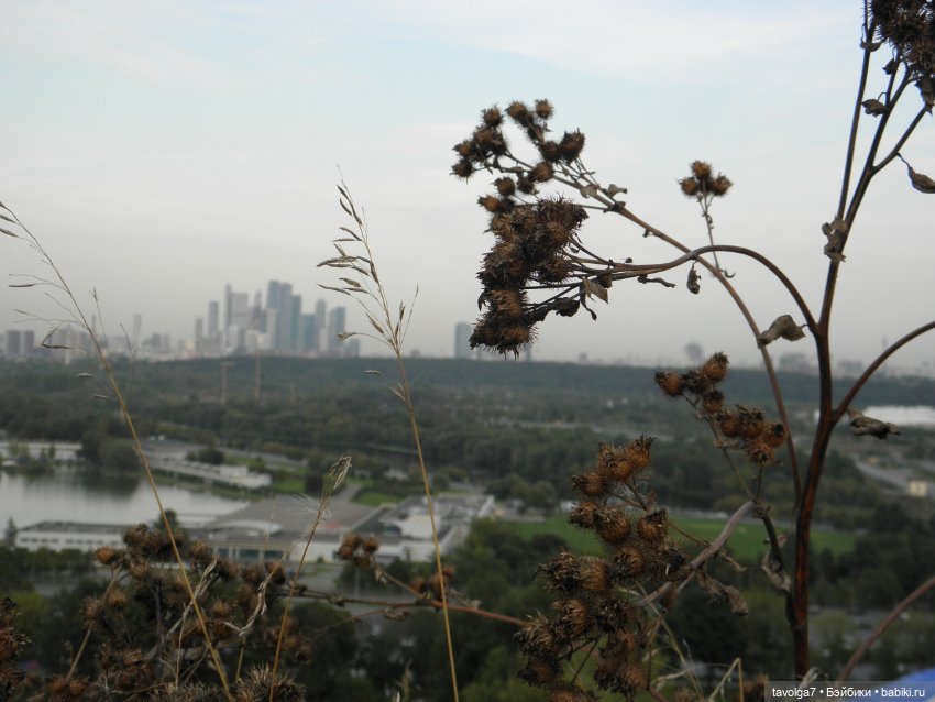 Лугнасад — Фэшн (фото 8)