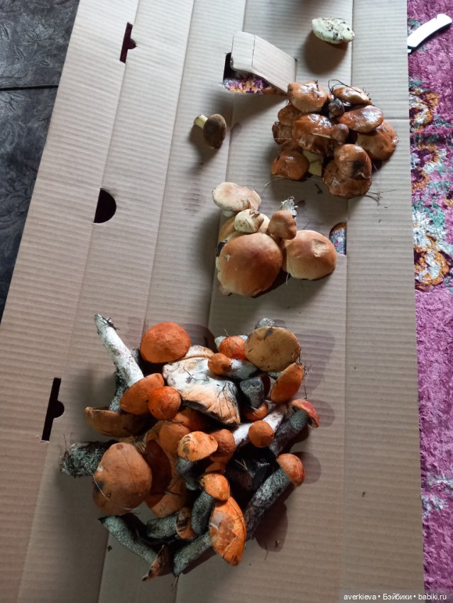 Невзапный выходной — Интересные игрушки и фигурки (разное): редкие (фото 10)