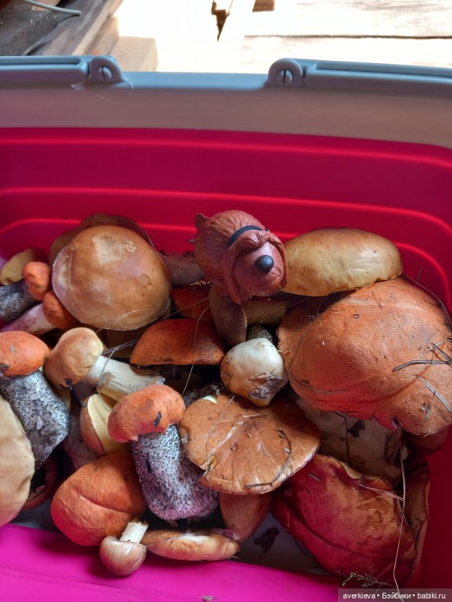 Невзапный выходной — Интересные игрушки и фигурки (разное): редкие (фото 9)