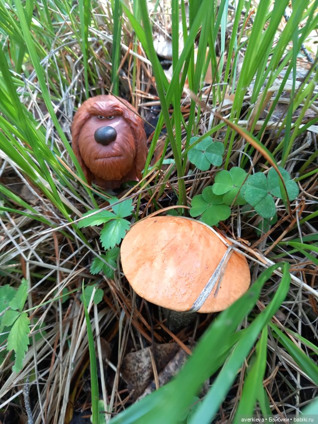 Невзапный выходной — Интересные игрушки и фигурки (разное): редкие (фото 4)