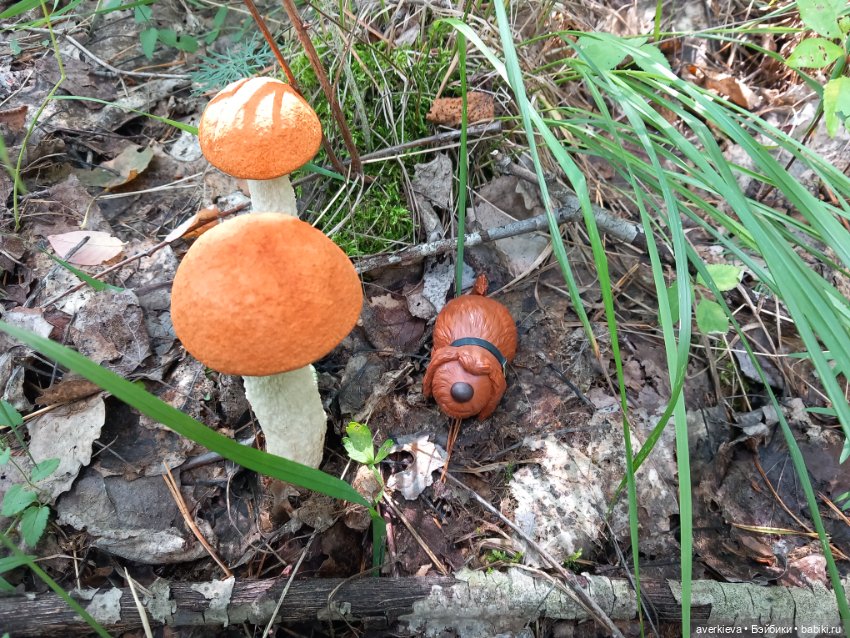 Невзапный выходной — Интересные игрушки и фигурки (разное): редкие (фото 7)