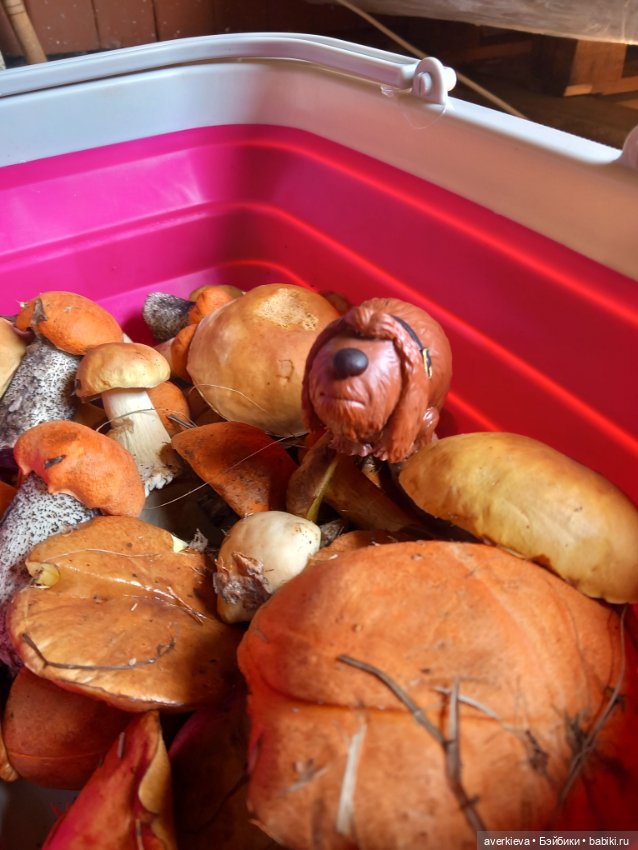 Невзапный выходной — Интересные игрушки и фигурки (разное): редкие (фото 8)