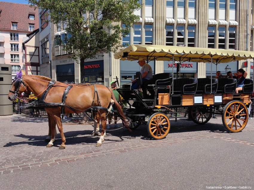 Fashion Dolls 538 — Туризм и путешествия: фотоотчеты из поездок (фото 6)