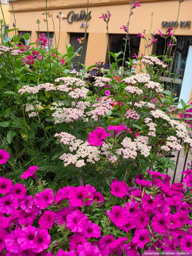 Fashion Dolls 538 — Туризм и путешествия: фотоотчеты из поездок (фото 9)