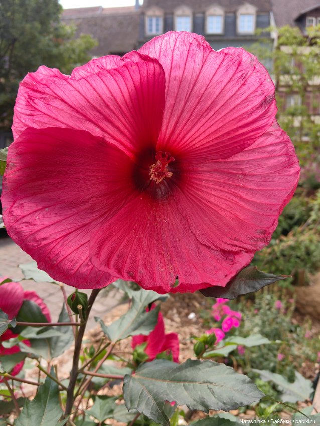 Fashion Dolls 537 — Туризм и путешествия: фотоотчеты из поездок (фото 5)