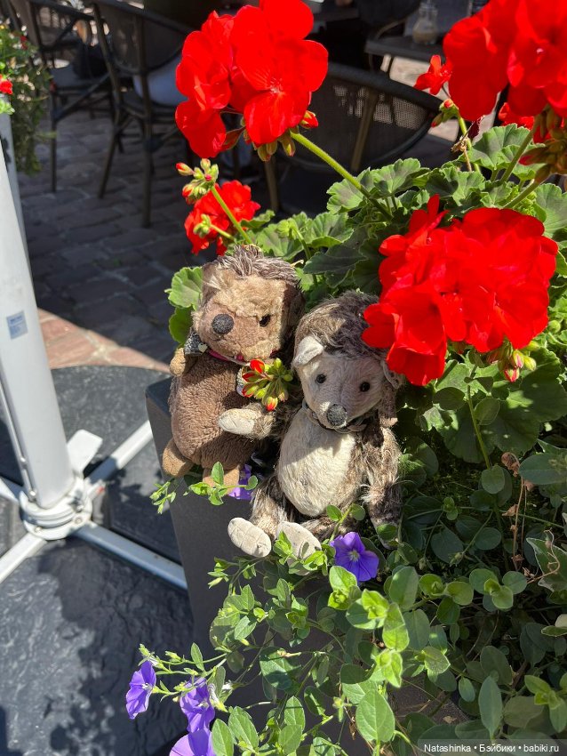 Fashion Dolls 537 — Туризм и путешествия: фотоотчеты из поездок (фото 4)