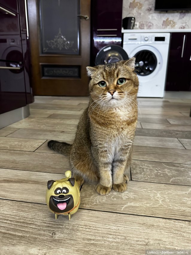 Завтрак с Мэлом и Гарри — Интересные игрушки и фигурки (разное): редкие (фото 6)