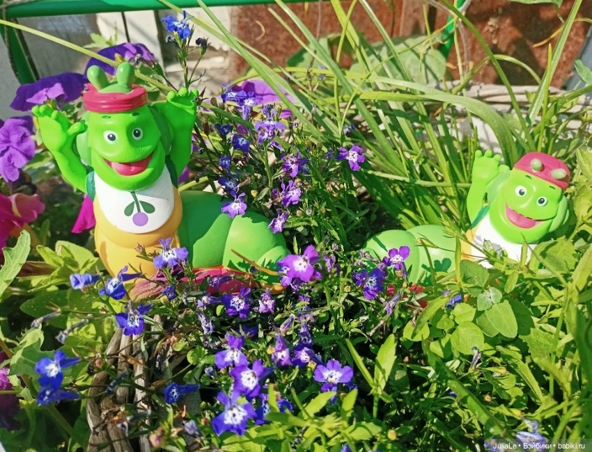 Мои сестры (Олсен) Гуллиопы