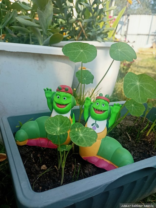 Мои сестры (Олсен) Гуллиопы