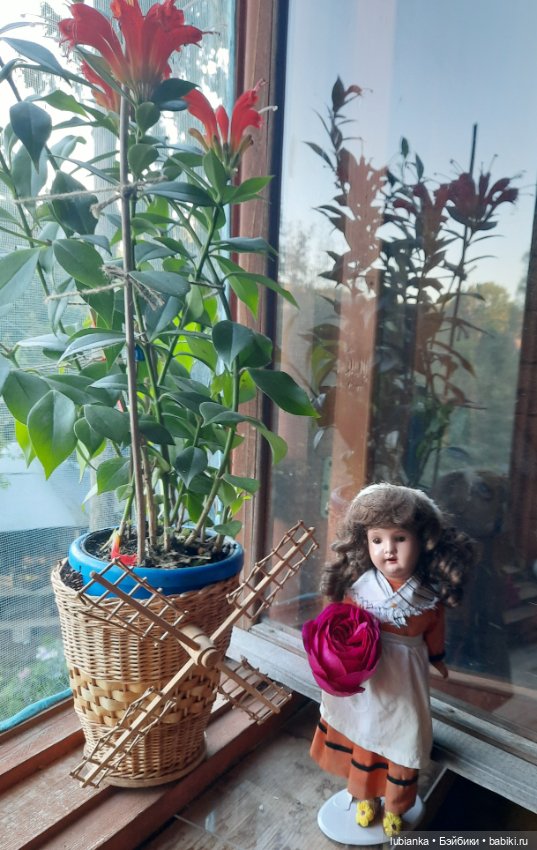 Моя скромница Александрина