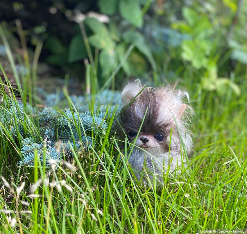 Мой сердцеед — Куклы Реборн (Reborn): работы мастеров