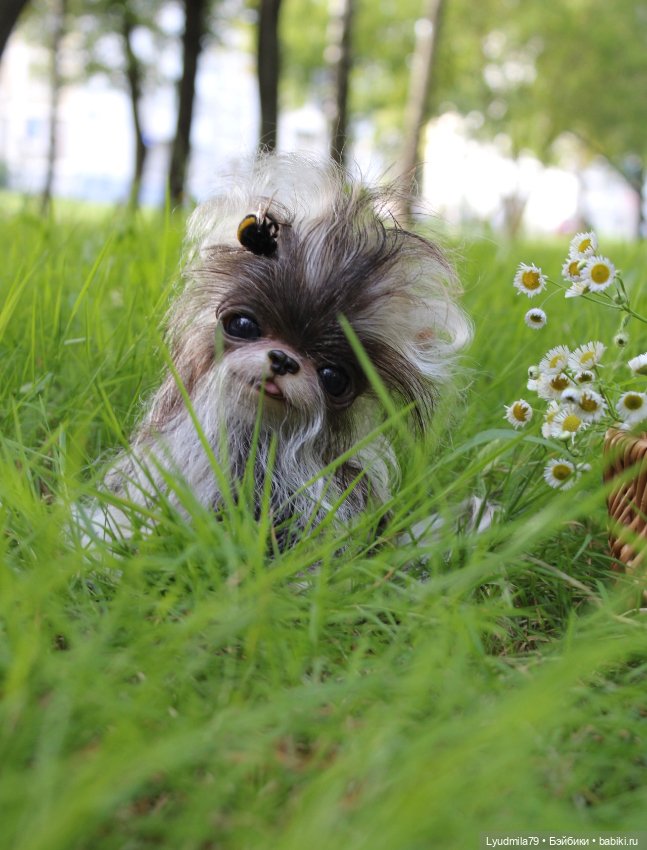 Мой сердцеед — Куклы Реборн (Reborn): работы мастеров (фото 6)