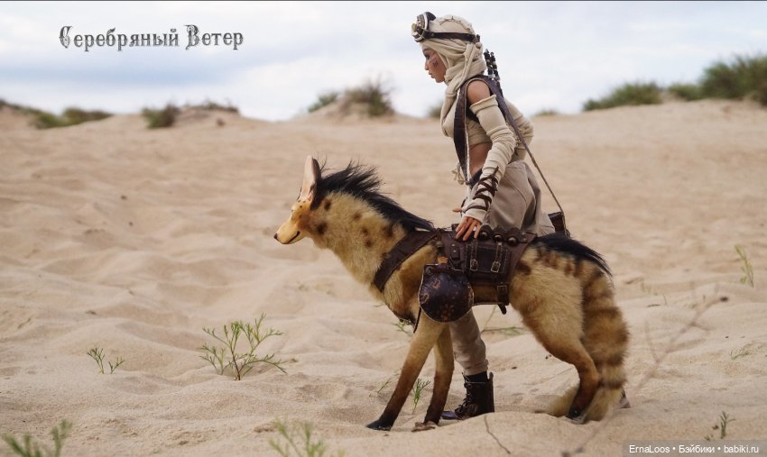 Воин пустыни — Куклы Dart dolls (Анна Шиткина): российские BJD (БЖД) (фото 9)