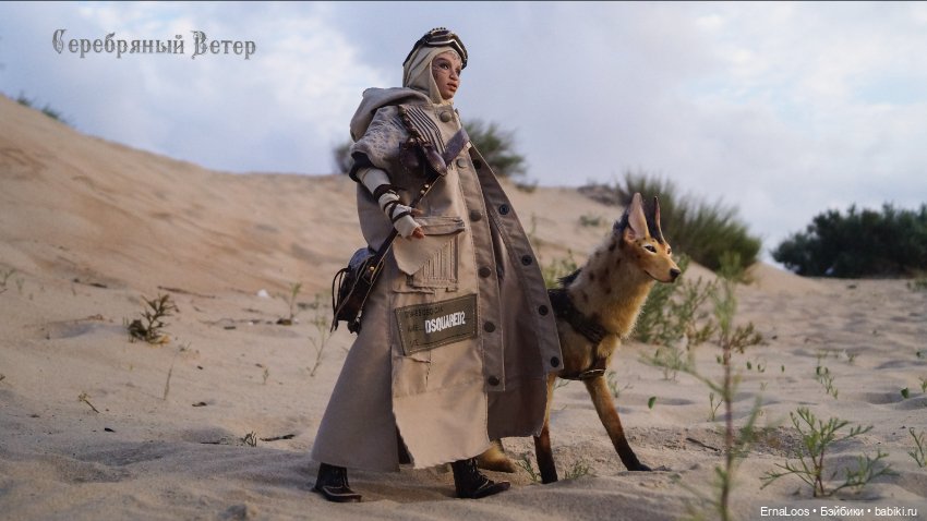 Воин пустыни — Куклы Dart dolls (Анна Шиткина): российские BJD (БЖД) (фото 2)