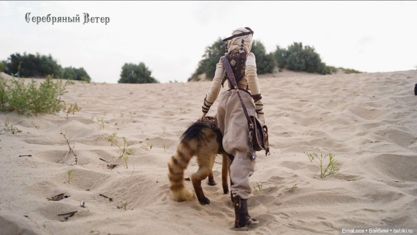 Воин пустыни — Куклы Dart dolls (Анна Шиткина): российские BJD (БЖД) (фото 8)