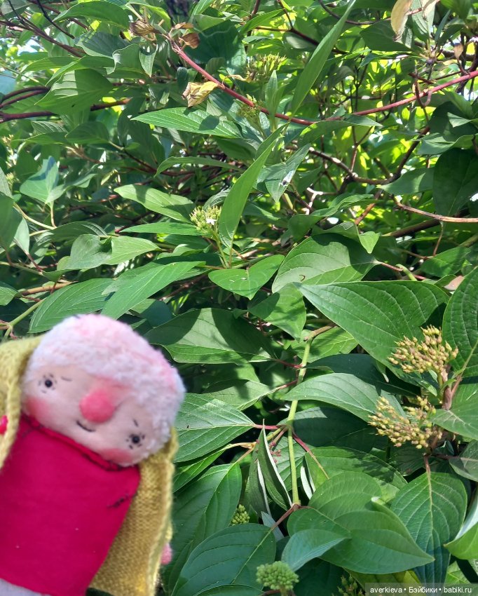 Ещё один чудесный день — Текстильные игрушки и примитивы: кофейные