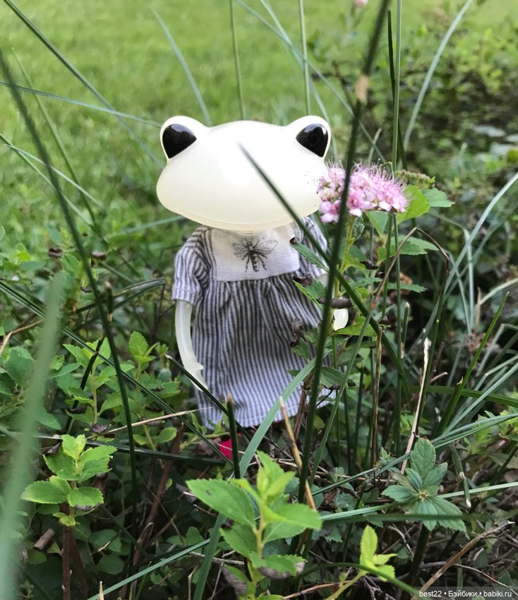 Storm от Wonder Frog studio-uoo (фото 10)