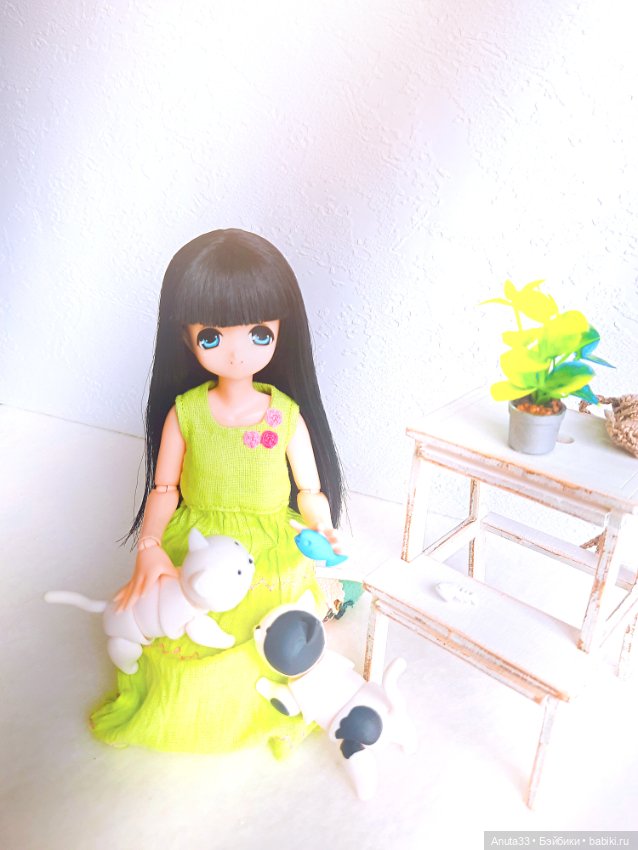 Любимое трио. Тори, Финик и Пряник♡