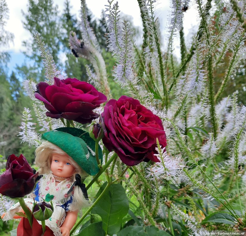 Бриллиант моего сердца💎💖 — Винтажные куклы ГДР (Немки): Бигги