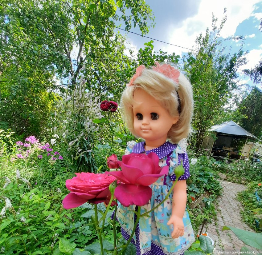 Сегодня с розами Розелла💖💃🌹🥀 (фото 3)
