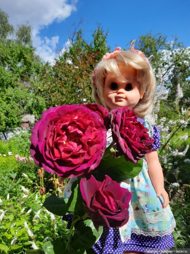 Сегодня с розами Розелла💖💃🌹🥀 (фото 4)