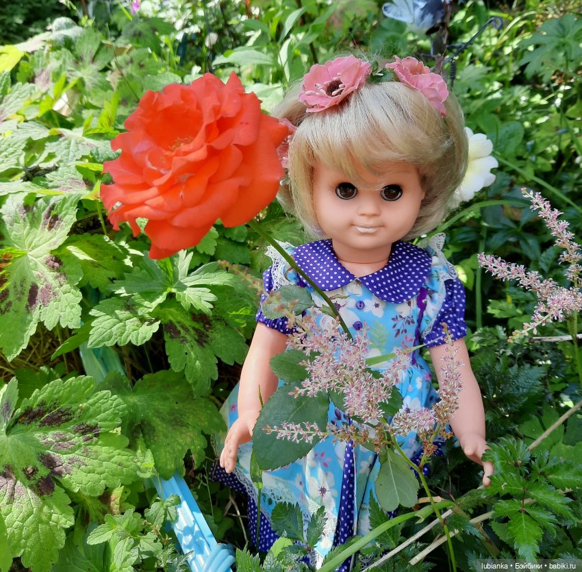 Сегодня с розами Розелла💖💃🌹🥀 (фото 6)