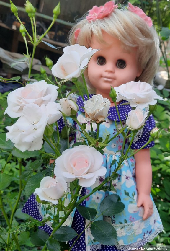 Сегодня с розами Розелла💖💃🌹🥀 (фото 8)