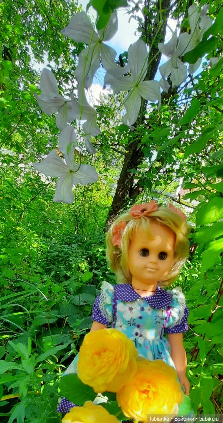 Сегодня с розами Розелла💖💃🌹🥀