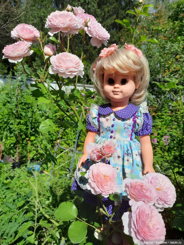 Сегодня с розами Розелла💖💃🌹🥀