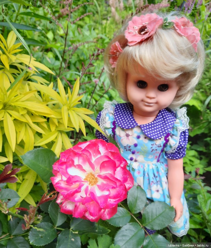 Сегодня с розами Розелла💖💃🌹🥀