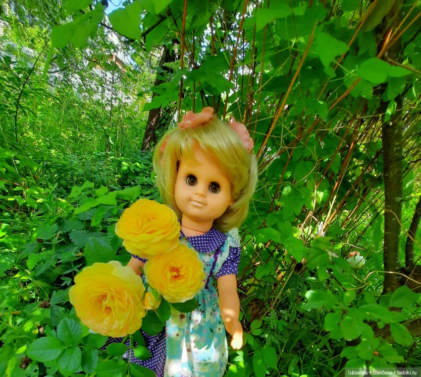 Сегодня с розами Розелла💖💃🌹🥀