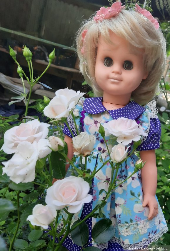 Сегодня с розами Розелла💖💃🌹🥀 (фото 9)