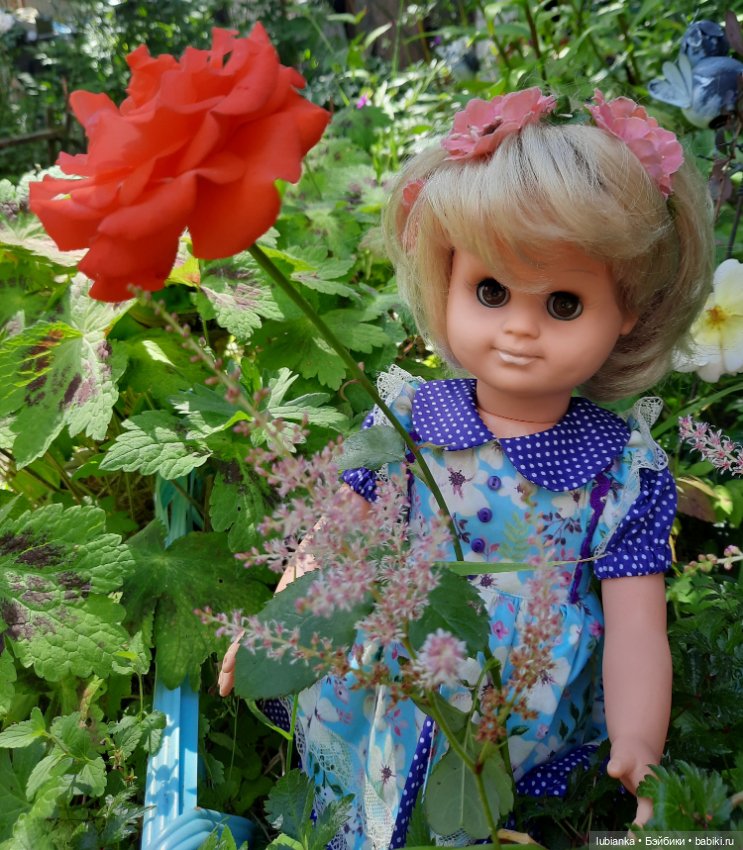 Сегодня с розами Розелла💖💃🌹🥀 (фото 7)