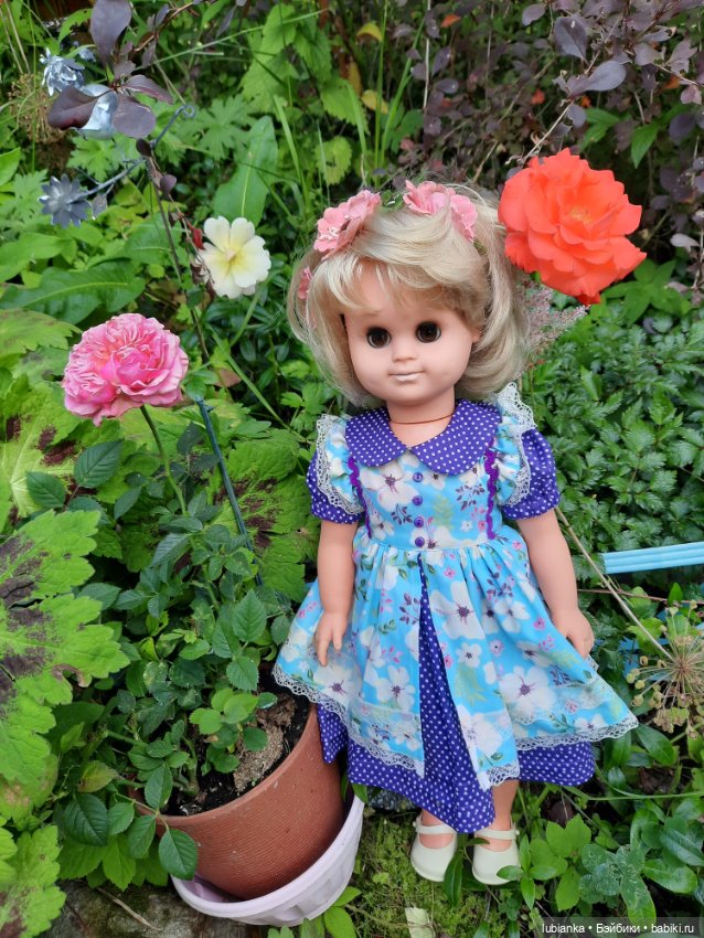 Сегодня с розами Розелла💖💃🌹🥀