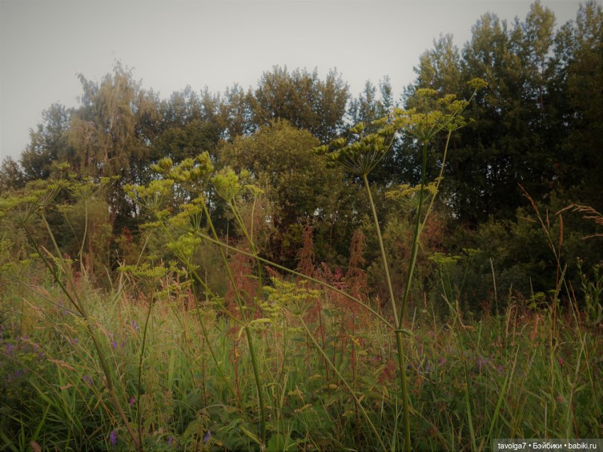 Феечки Sparkle-Seasters — Игровые мини