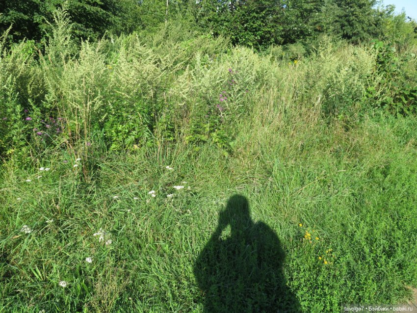 Новое платье и новые ручки для Дюймовочки Аским (фото 3)