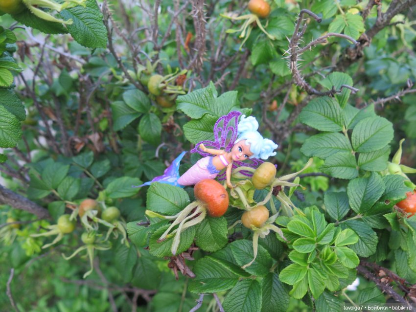 Феечки Sparkle-Seasters — Игровые мини