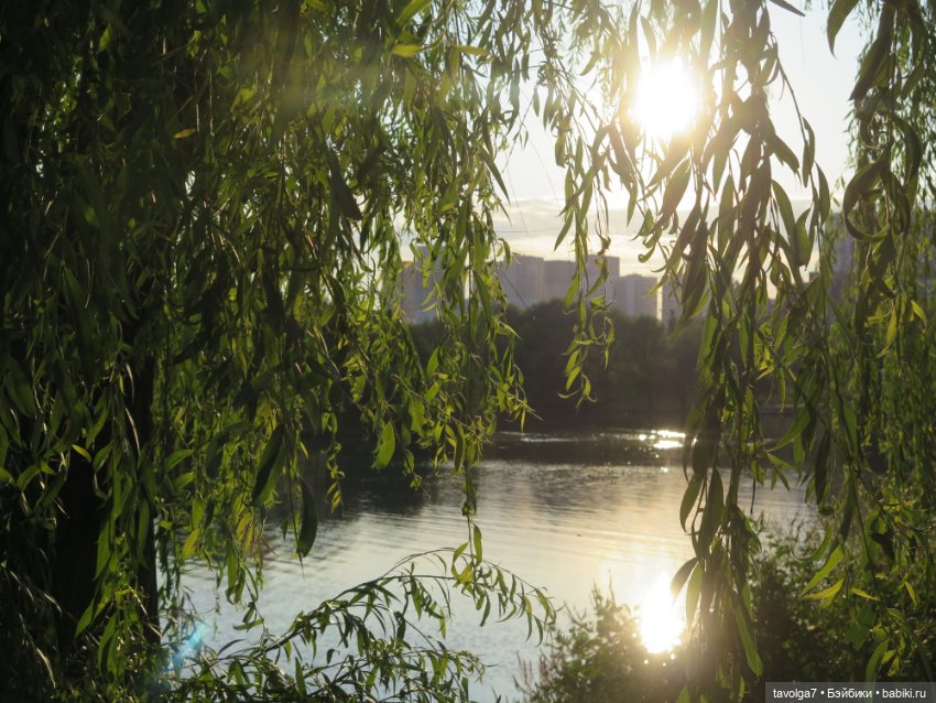 Феечки Sparkle-Seasters — Игровые мини (фото 3)