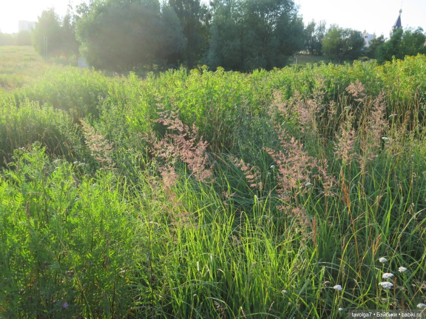 Не знаешь, кого брать - бери самых маленьких (фото 6)
