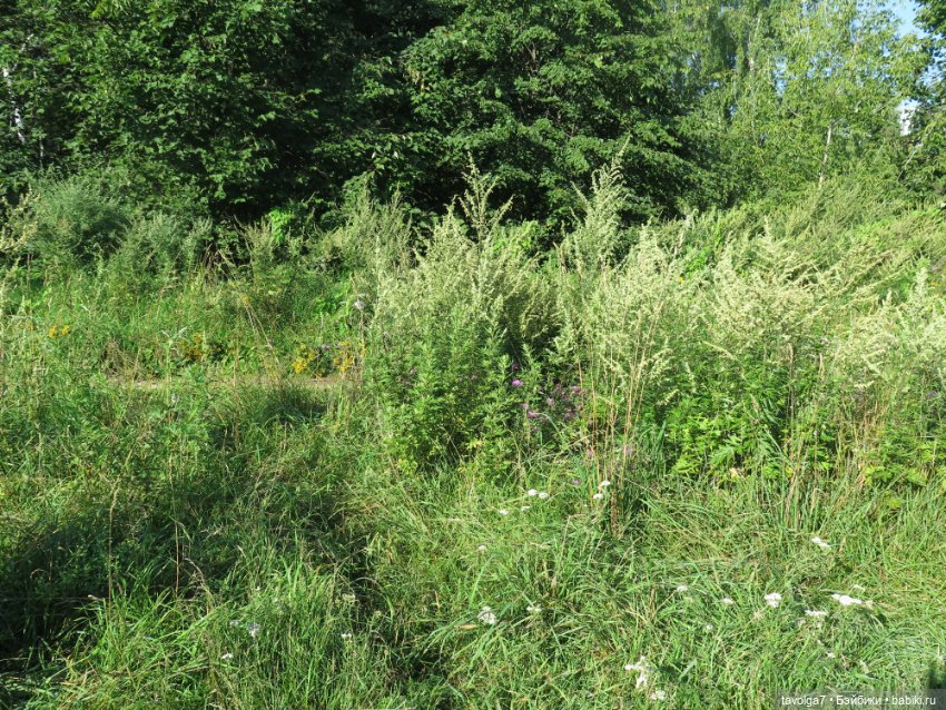 Новое платье и новые ручки для Дюймовочки Аским (фото 4)