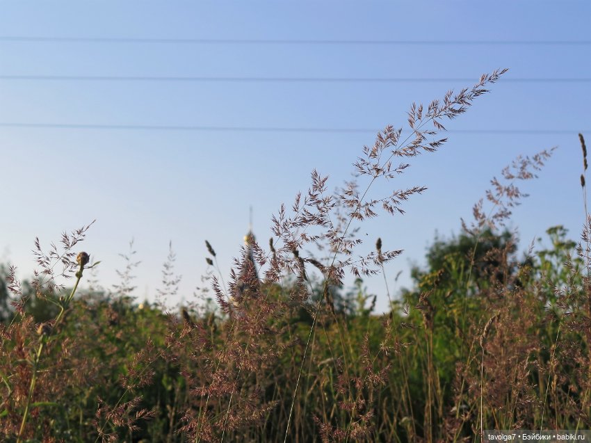 Не знаешь, кого брать - бери самых маленьких (фото 7)