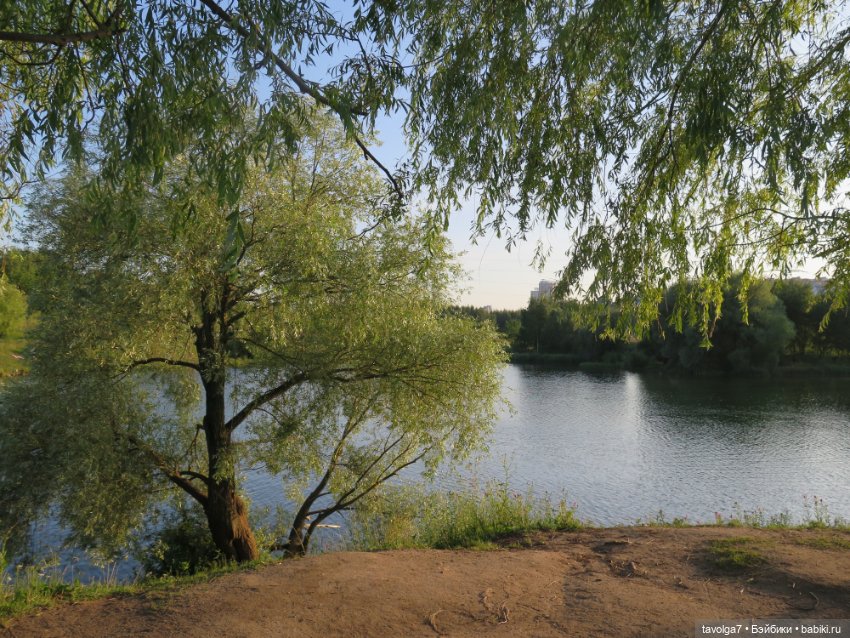 Не знаешь, кого брать - бери самых маленьких (фото 8)