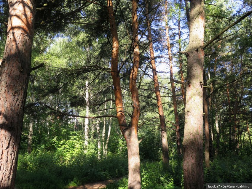 Новое платье и новые ручки для Дюймовочки Аским