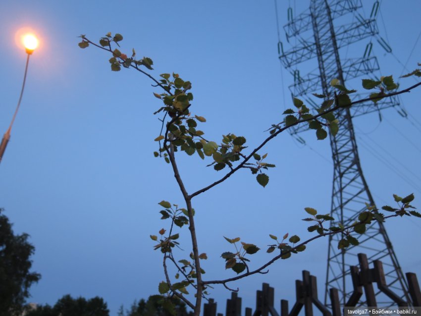 Феечки Sparkle-Seasters — Игровые мини