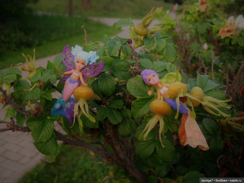 Феечки Sparkle-Seasters — Игровые мини